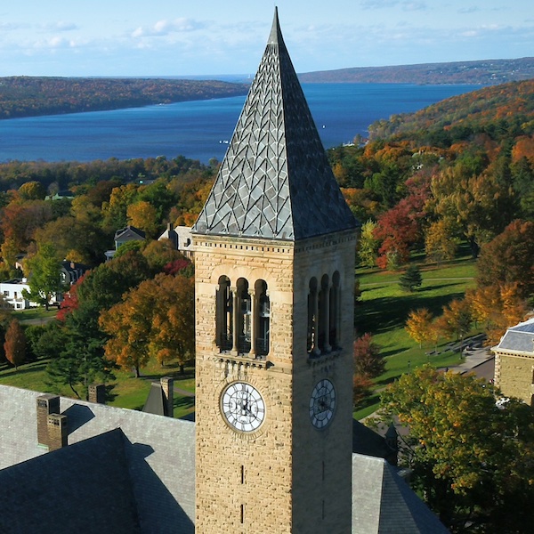 Cornell University